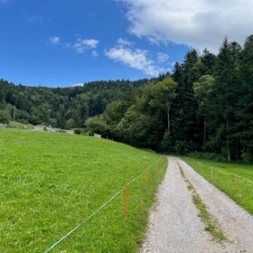 Der Holenstein Weg in Bäretswil führt zum kleinen Aufstieg zur Täuferhöhle