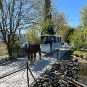 Berühmtes Pferdetram