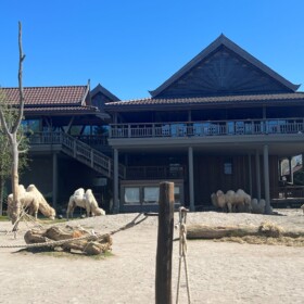 Blick auf das Thai-Restaurant
