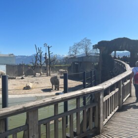 Brücke über das Elefantengehege