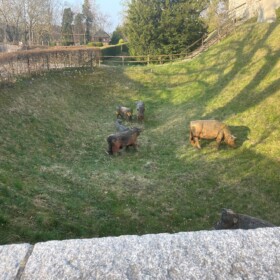 Ein kleiner Teil der Gartenanlagen