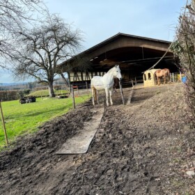 Rossweidli mit grossem Auslauf für die Pferde