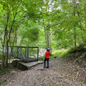 Brücke Richtung Frosch-Weiher