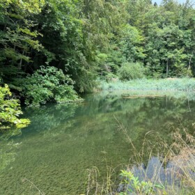 Frosch-Weiher drei Gehminuten vor dem Turbinenturm