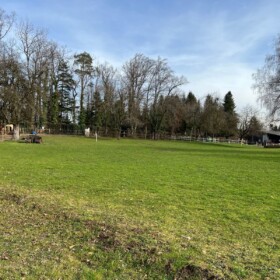 Grosse Weidfläche auf der früher das grosse Derby abgehalten wurde