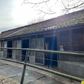 Stallungen mit Aussenbereich