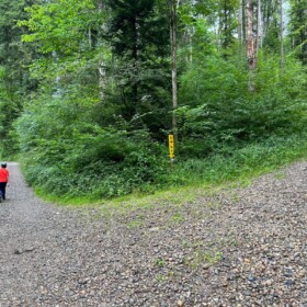 Links gehen - rechts ist ein Moutainbikeweg