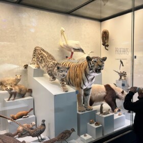 Impressionen Untergeschoss