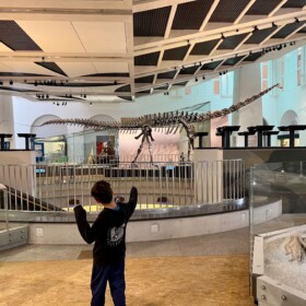 Etliche Dinosaurierskelette wurden vom Sauriermuseum Aathal gespendet