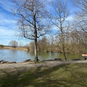 Uferbereich der Badi Auslikon. Hier trieb die Kobra-Bande in Band 12 ihr Unwesen.