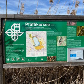 Der ganze Pfäffikersee mit Umland ist Naturschtzgebiet, welches von Parkrangern beschützt wird