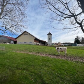 Rund 180 wiederkauende Nachbarn inklusive