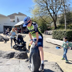 Die Pinguine kommen auch in Band 5 vor: In-den-Fängen-des-Tigers