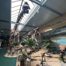 Saurier wohin das Auge blickt