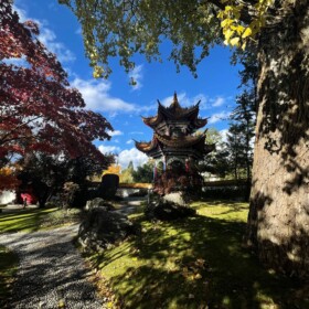 Bis ins letzte Detail gepflegter Garten